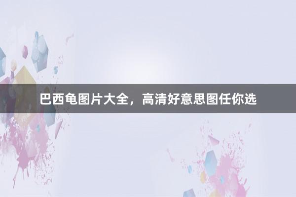 巴西龟图片大全，高清好意思图任你选