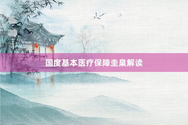 国度基本医疗保障圭臬解读