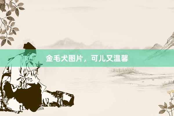 金毛犬图片，可儿又温馨