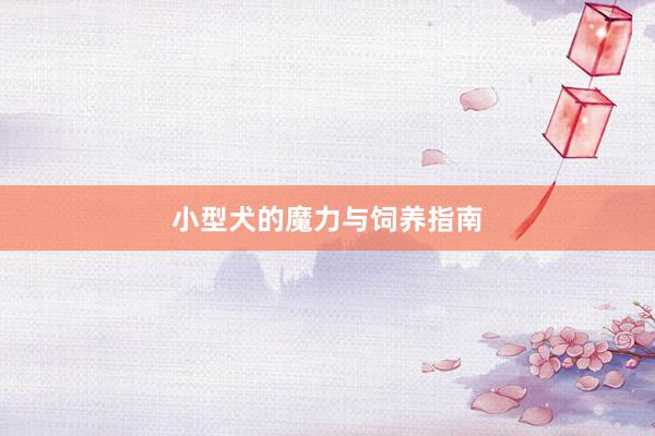 小型犬的魔力与饲养指南