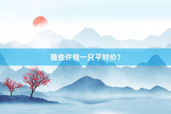 猫些许钱一只平时价？