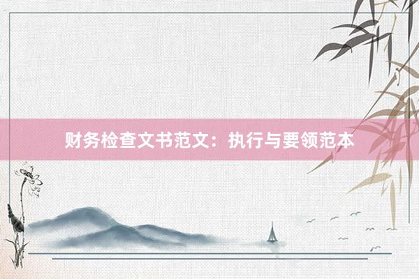 财务检查文书范文：执行与要领范本